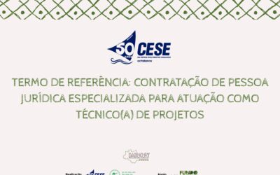 Termo de referência: Contratação de pessoa jurídica especializada para técnico de projetos