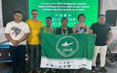 Dabucury no 21° ATL: debate sobre PGTAs envolve organizações indígenas em Brasília